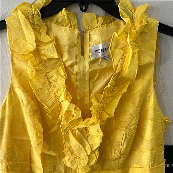 NWT-Studio One Yellow Ruffle Sleeveless Dress s10 - Picture 3 of 12